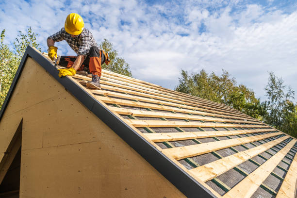 Roof Gutter Cleaning in Bloomfield, NM