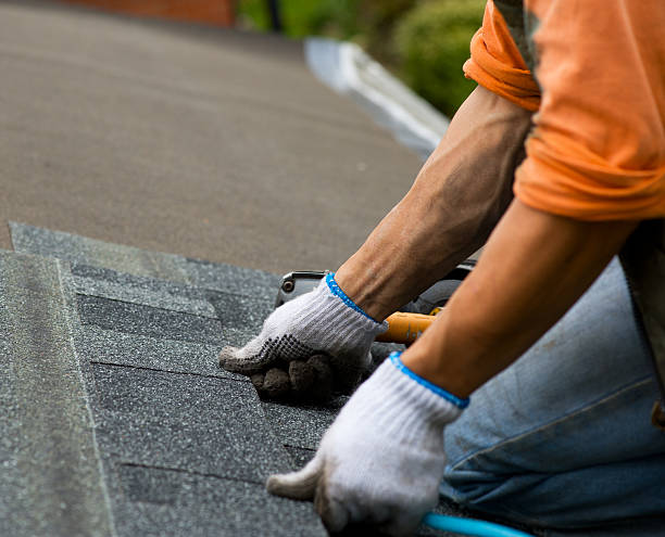Quick and Trustworthy Emergency Roof Repair Services in Bloomfield, NM